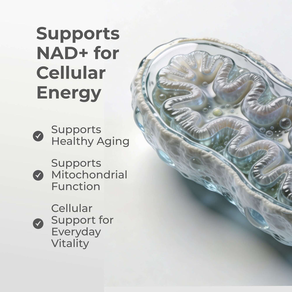 Liposomal NMN Capsules