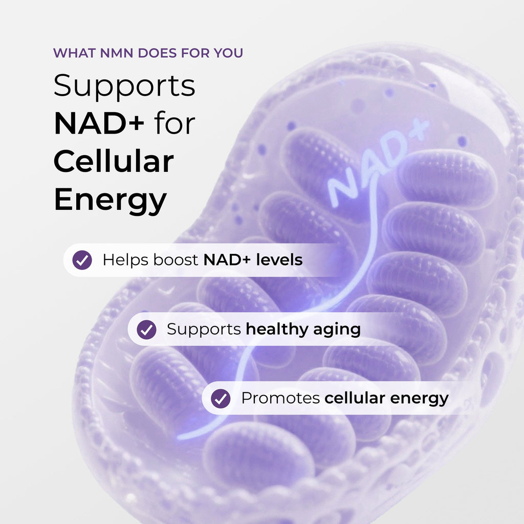 NMN Capsules 500MG