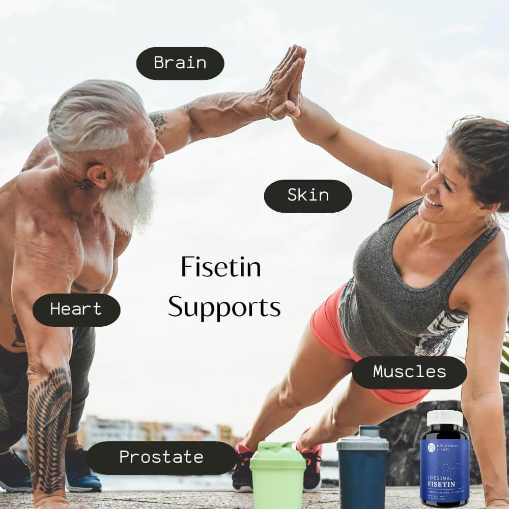 Liposomal Fisetin Capsules