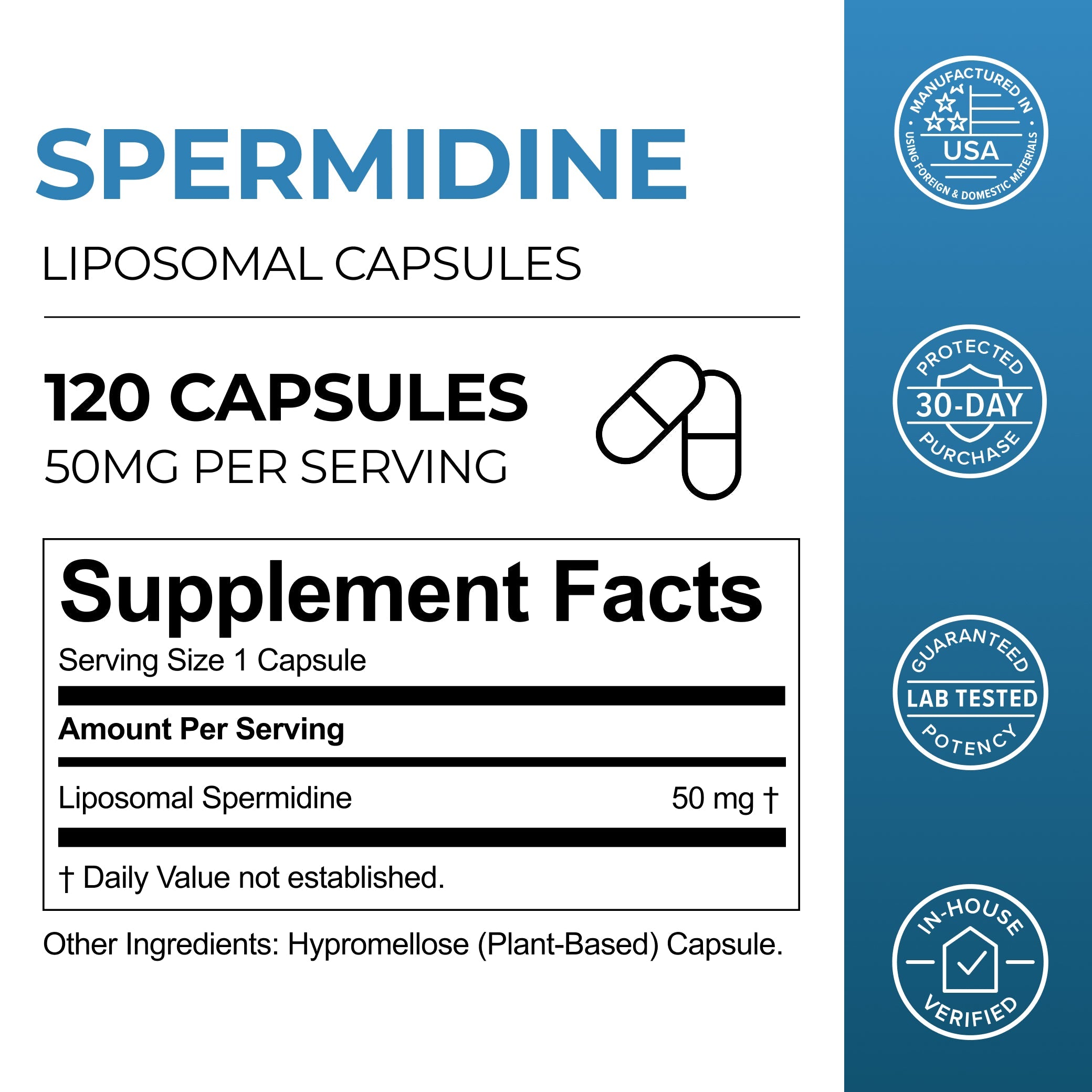 Liposomal Spermidine Capsules