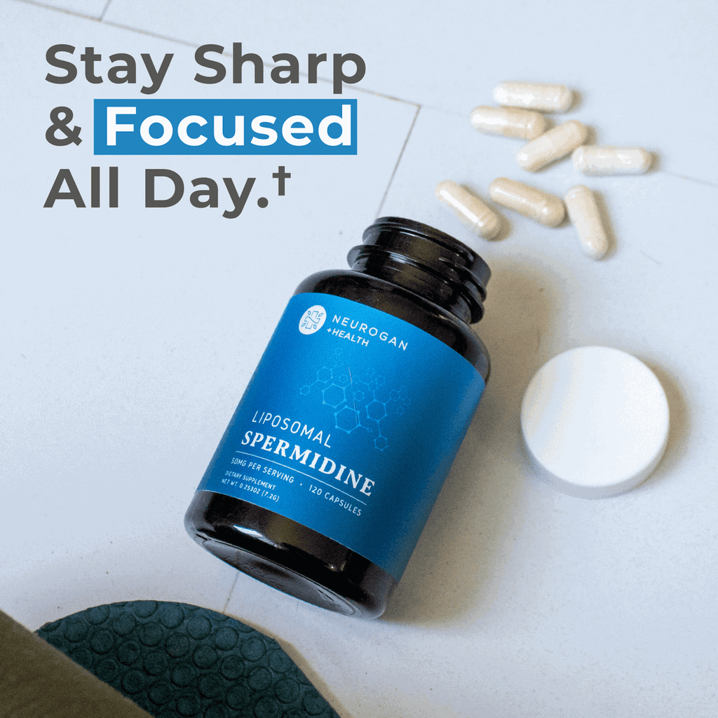 Liposomal Spermidine Capsules