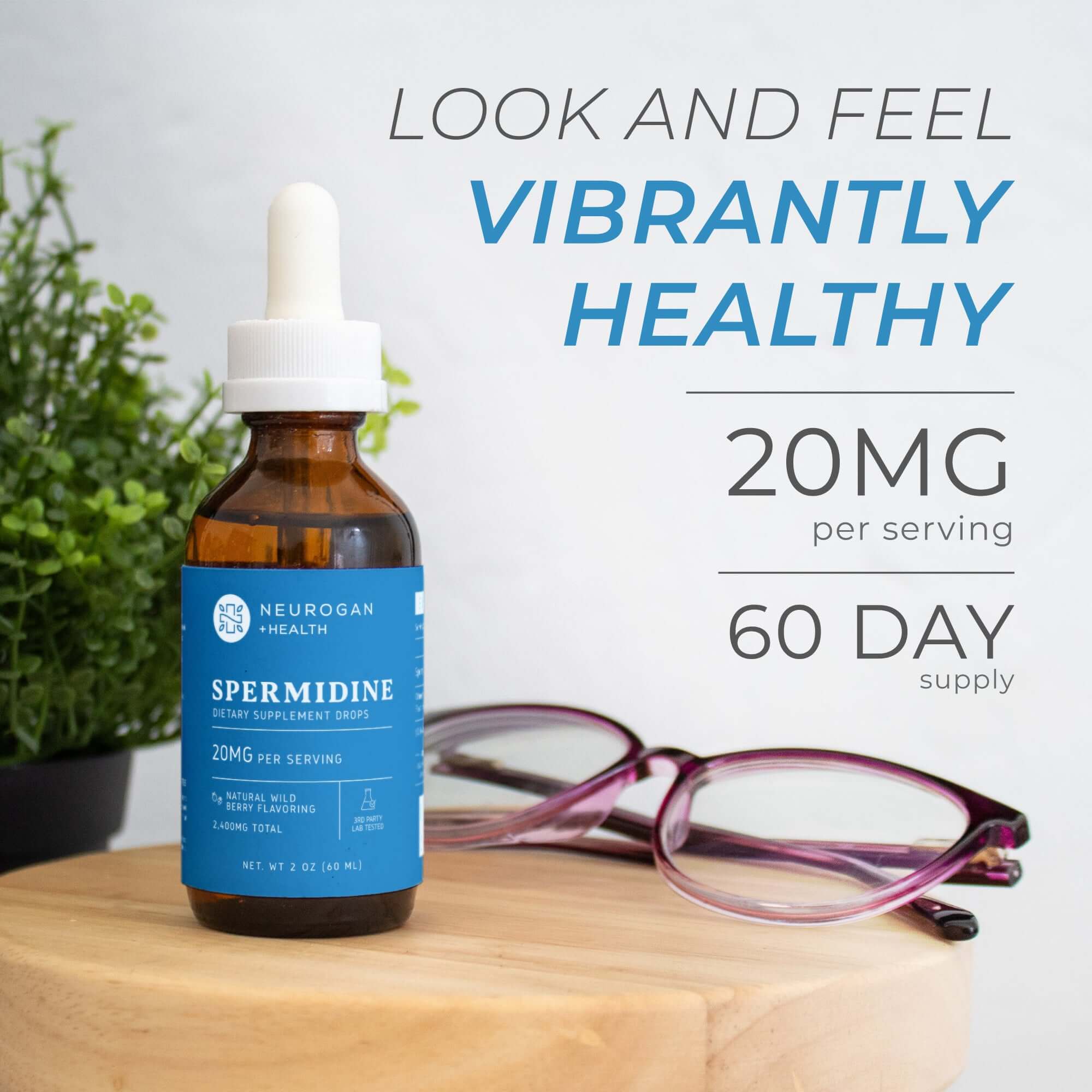 Spermidine Drops