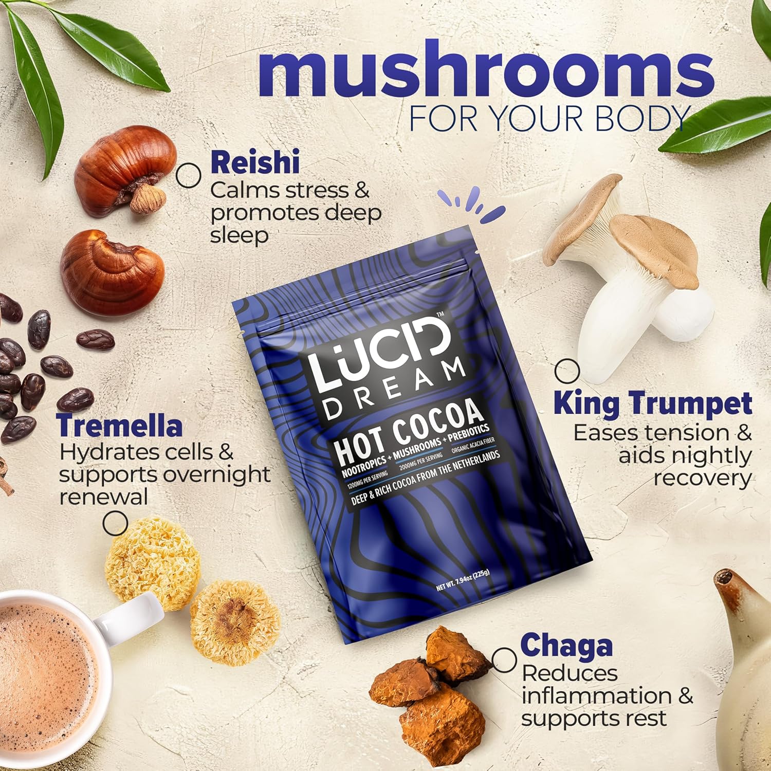Dream Nootropic+Mushroom Cocoa